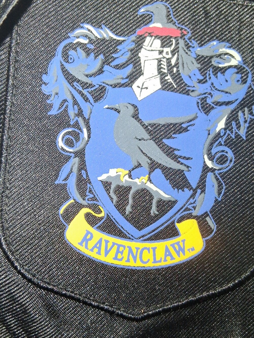 Harry Potter Ravenclaw Hooded Cape Os